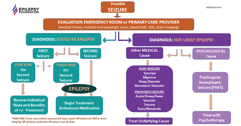 Epilepsy and Seizures