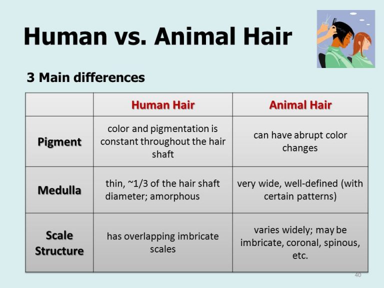 Human and Animal Hair