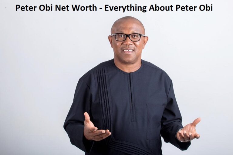 Peter Obi’s Biography – Everything About Peter Obi, Including His Net Worth
