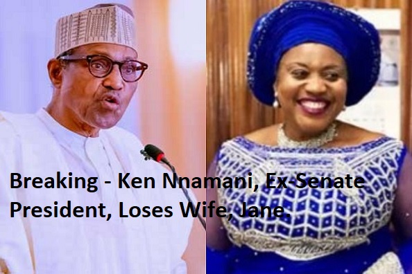 Breaking - Ken Nnamani, Ex-Senate President, Loses Wife, Jane.