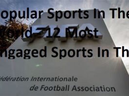 popular sports in the world - 12 most engaged sports in the world