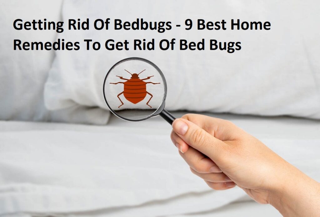 Getting Rid Of Bedbugs - 9 Best Home Remedies To Get Rid Of Bed Bugs