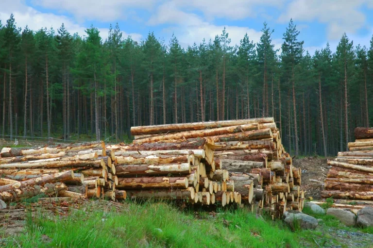 Natural Resources – List Of Natural Resources And Their Examples Natural Resources – List Of Natural Resources And Their Examples