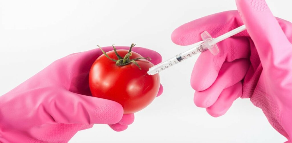 Genetically Modified Organism