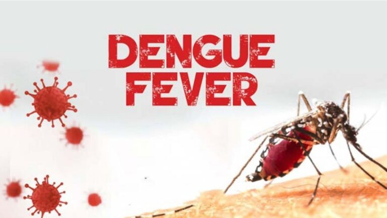 Dengue Fever: causes, symptoms, treatment and prevention. Dengue Fever: causes, symptoms, treatment and prevention.