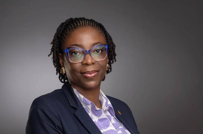 Access Holdings Gets New CEO: Interesting Things to Know About Bolaji Agbede