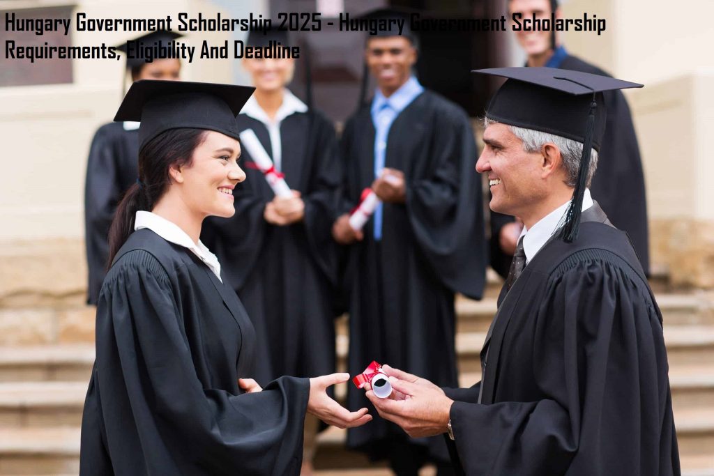 Hungary Government Scholarship 2025 - Hungary Government Scholarship Requirements, Eligibility And Deadline