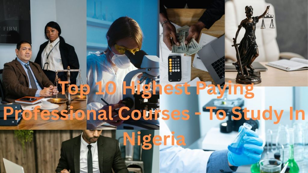  Top 10 Highest Paying Professional Courses - To Study In Nigeria