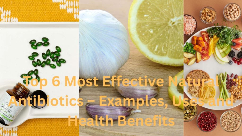 Top 6 Most Effective Natural Antibiotics – Examples, Uses and Health Benefits
