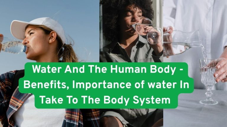 Water And The Human Body - Benefits, Importance of Water Intake To The Body System  